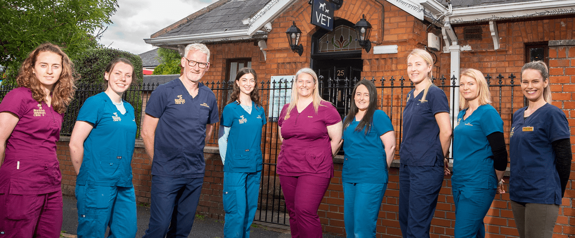 Blackrock Veterinary Clinic | Vets in Dublin
