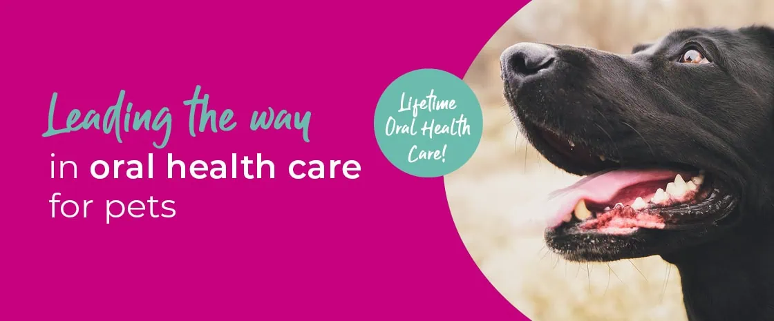 Blackrock Veterinary Clinic | Vets in Dublin