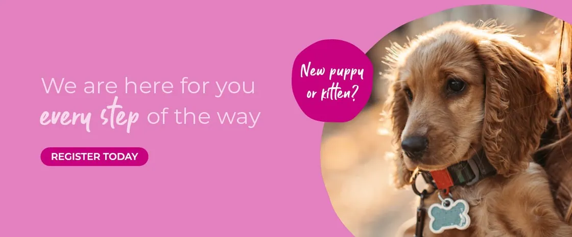 Blackrock Veterinary Clinic | Vets in Dublin